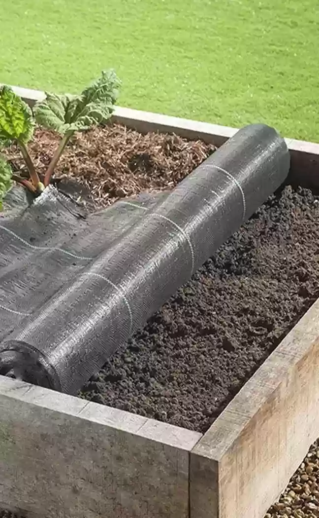 Agrotextil si Folie Mulcire